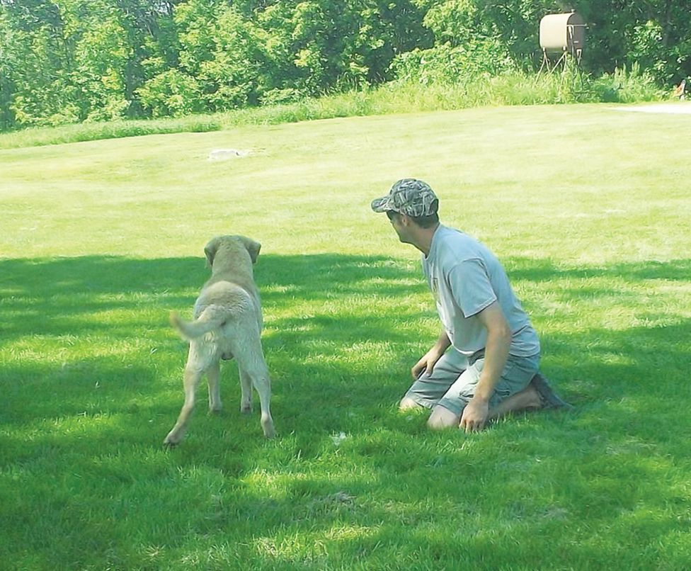 Finding the Right Trainer for Your Dog